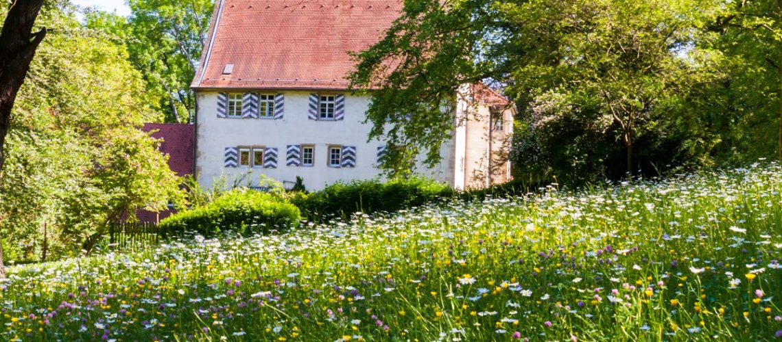 Weingut Graf Adelmann